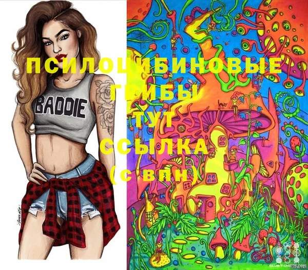 spice Зерноград