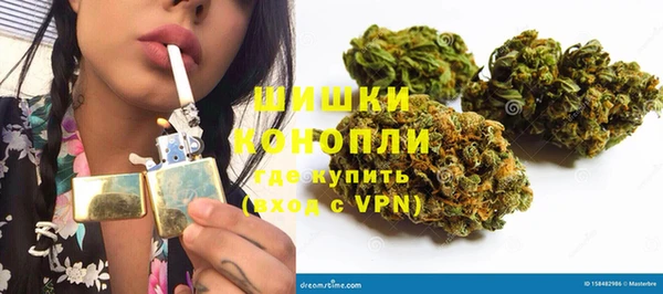 молекула духа Сосновый Бор